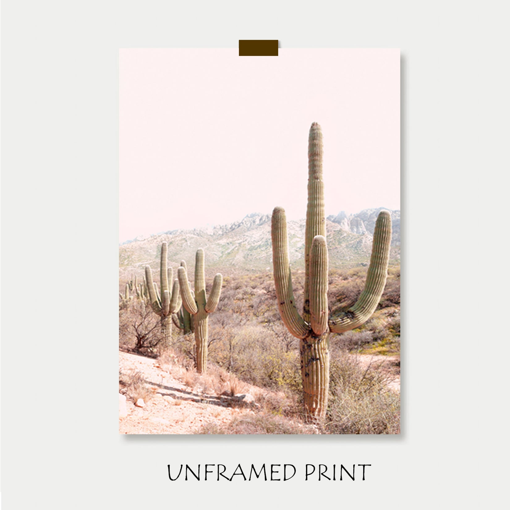 Cacti unframed print.