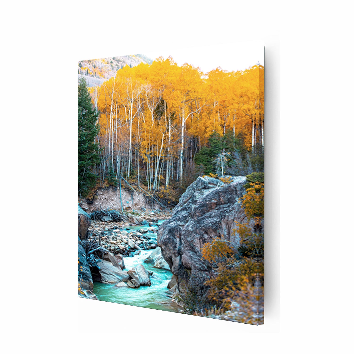 Autumn landscape canvas.
