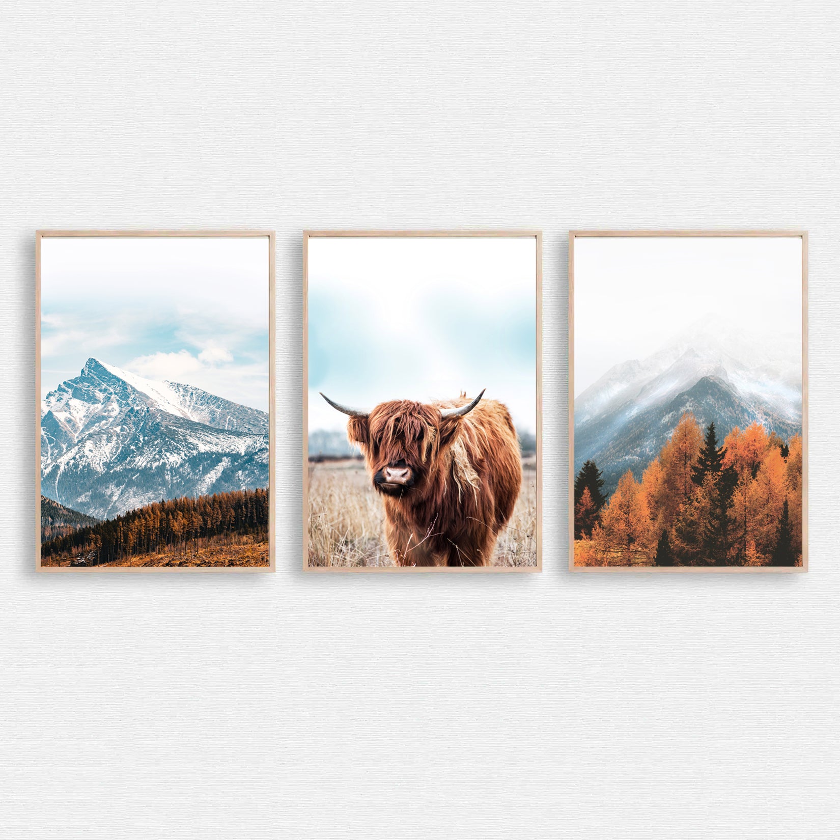 Autumn wall art with highland cow.