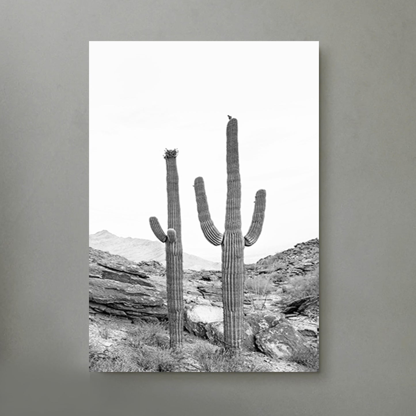 Cacti canvas print.