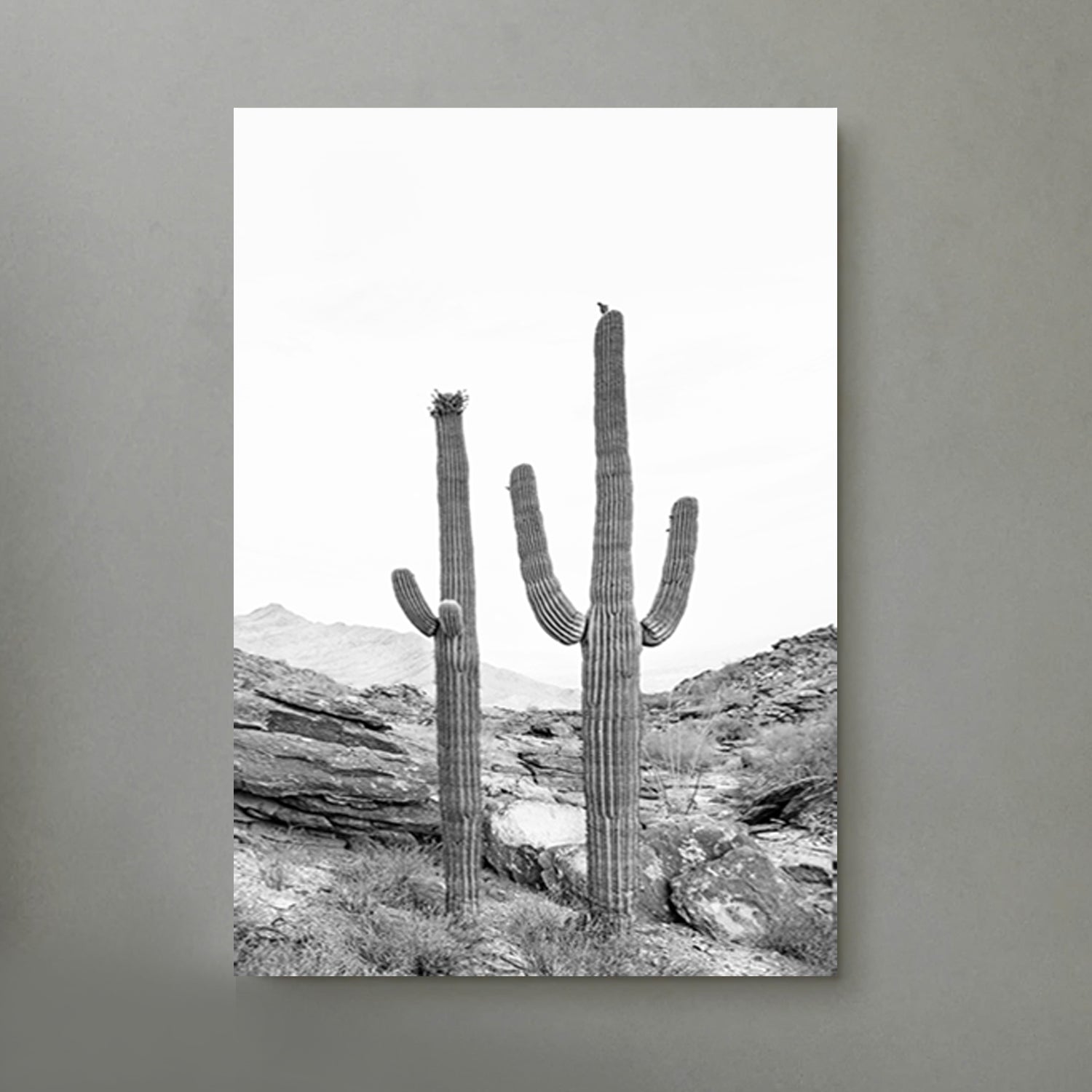 Cacti canvas print.