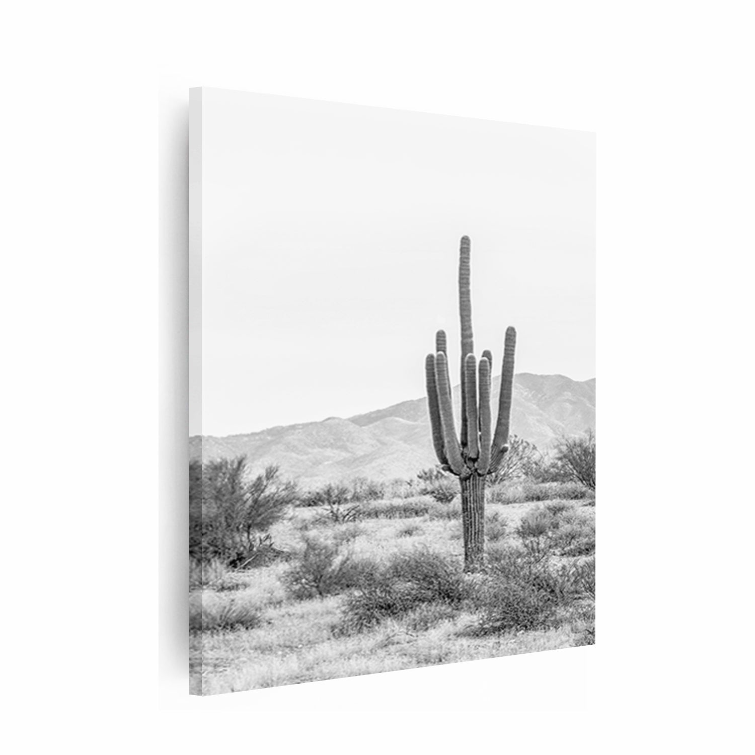 Cactus stretched canvas art.