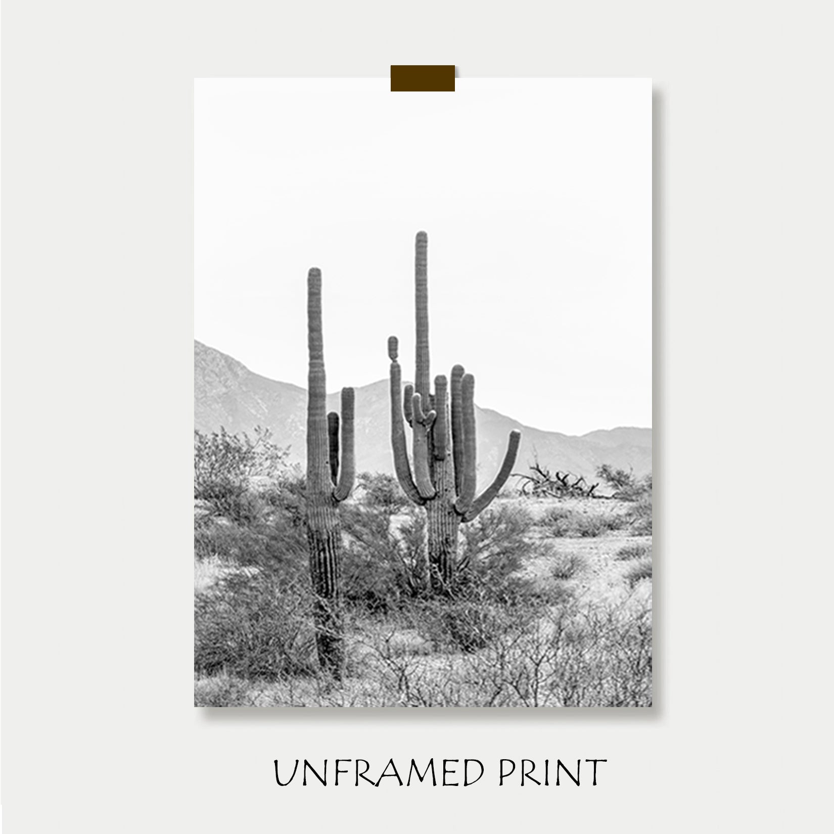 Cacti unframed print.