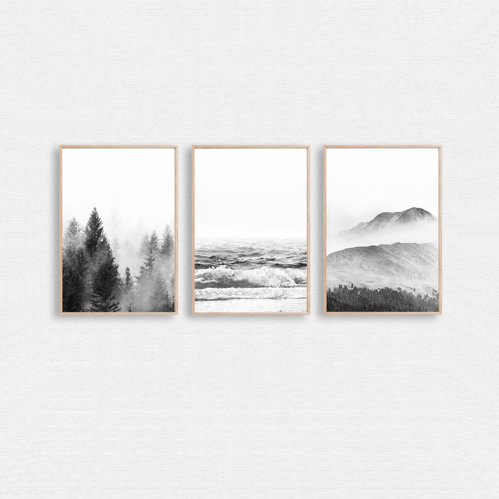 Office wall art set of 3 nature prints.