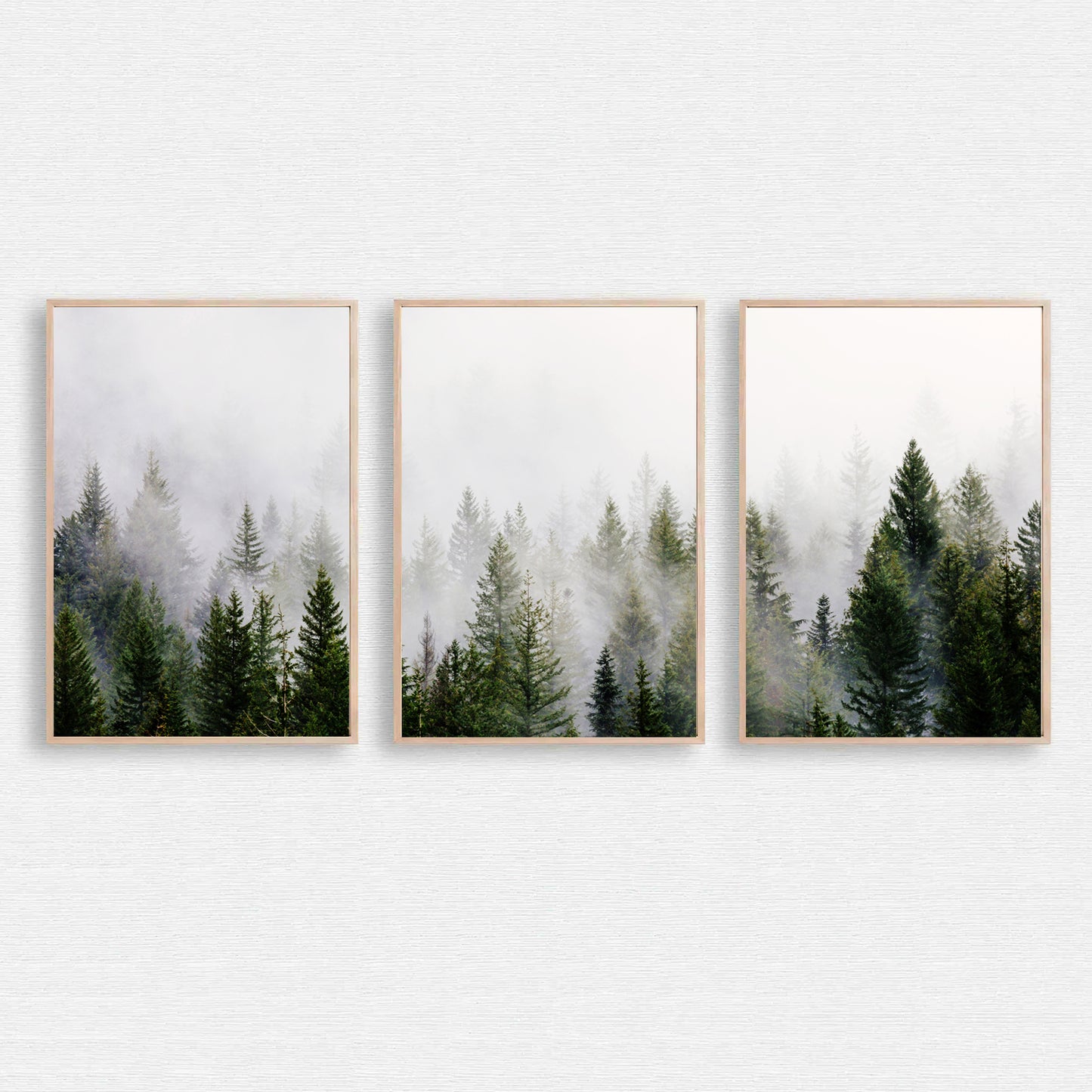Foggy forest 3 piece wall art.
