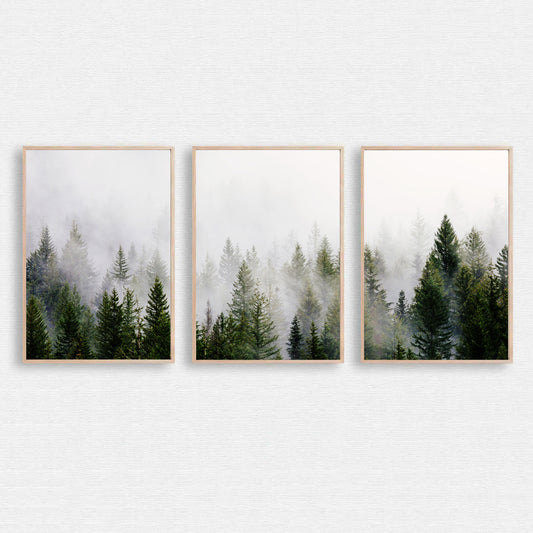 Foggy forest 3 piece wall art.