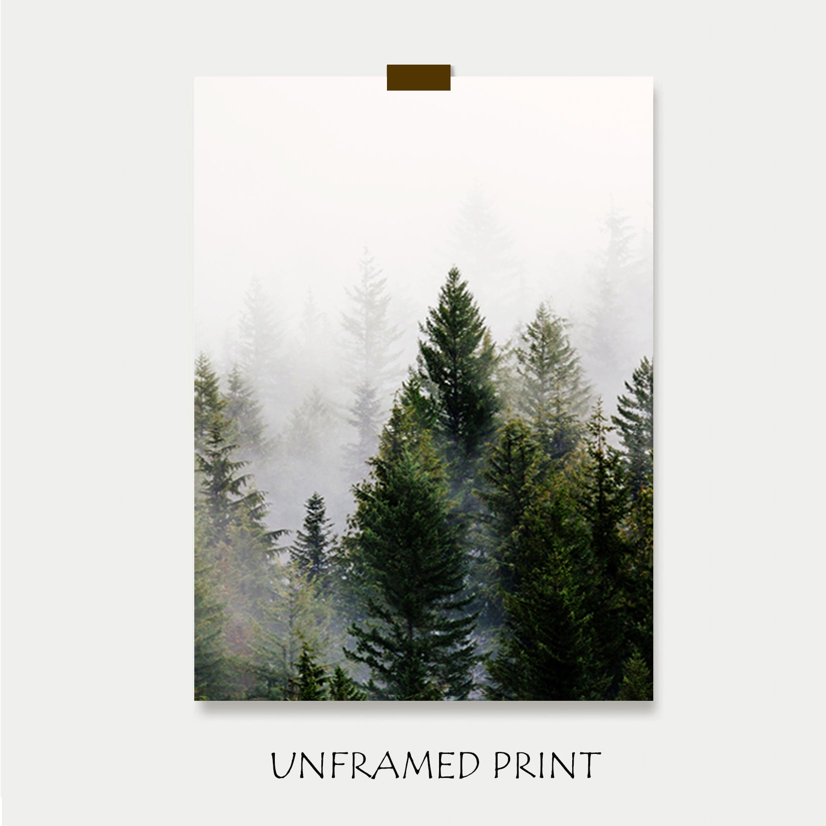 Forest unframed print.