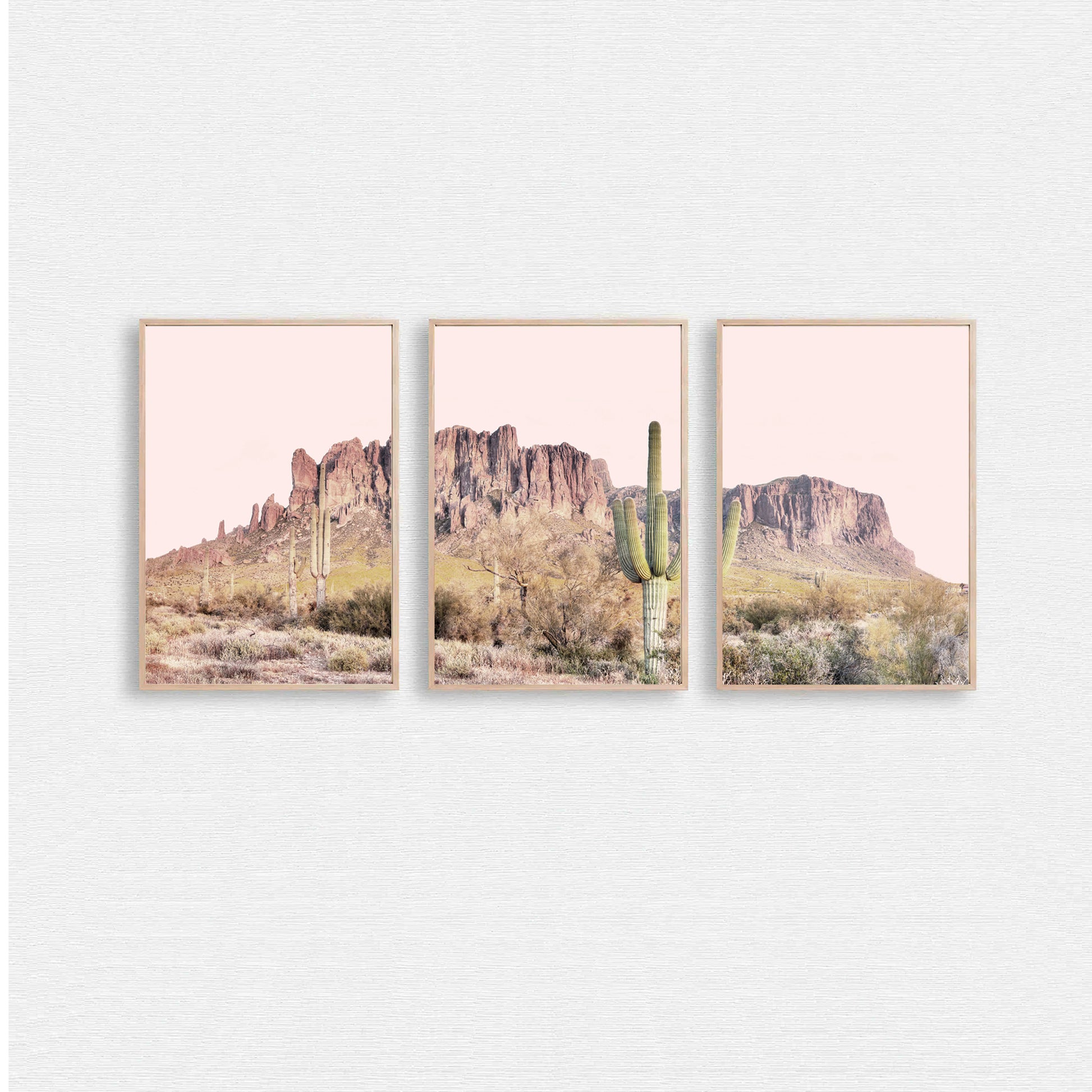 Desert landscape with mountain valley and cacti.