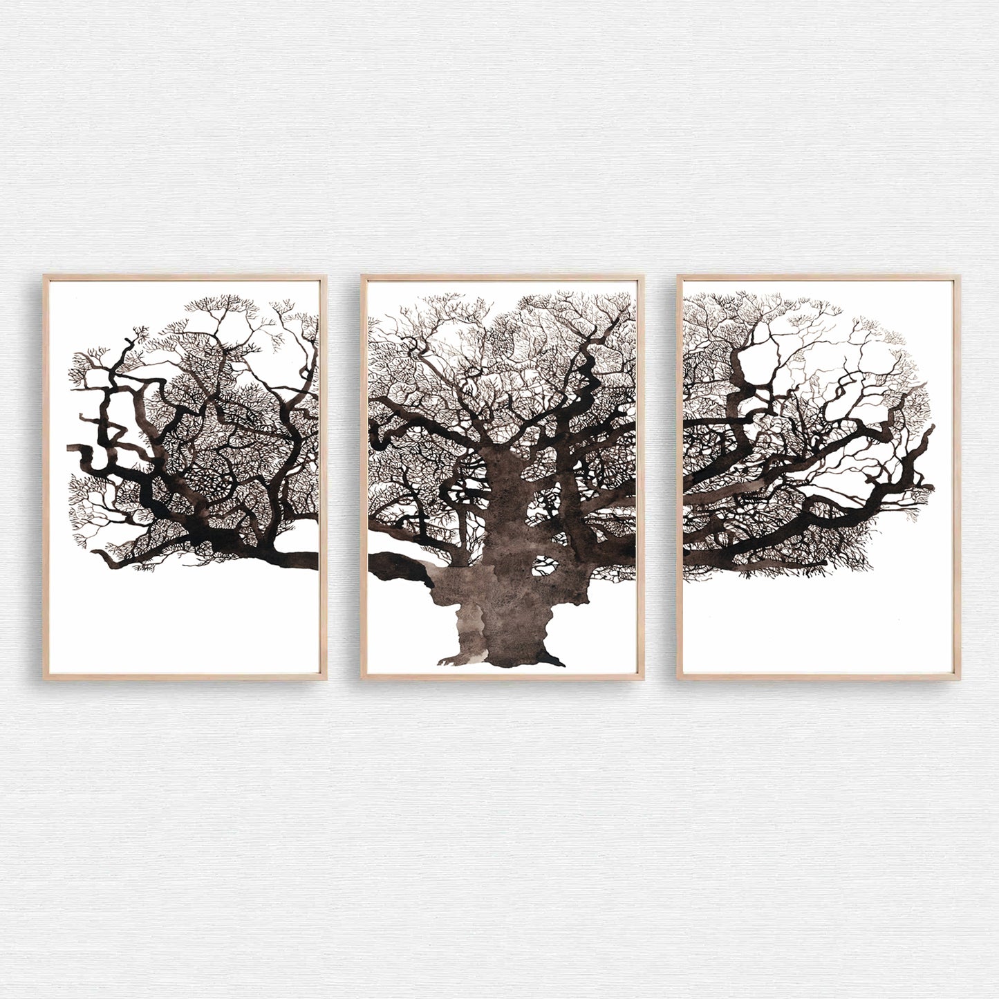 Mighty oak tree 3 piece wall art.