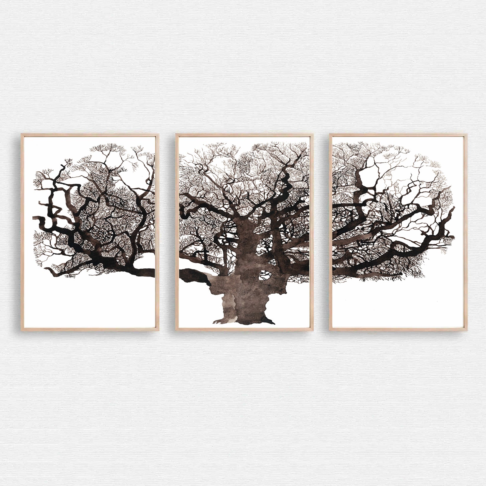 Mighty oak tree 3 piece wall art.