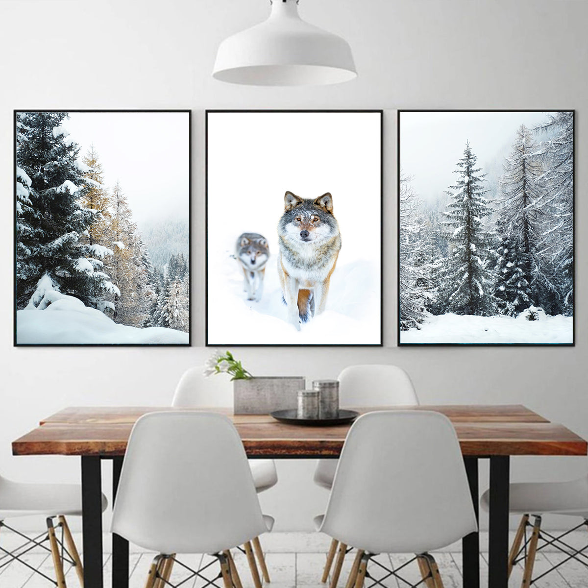 Wolf in winter photo.