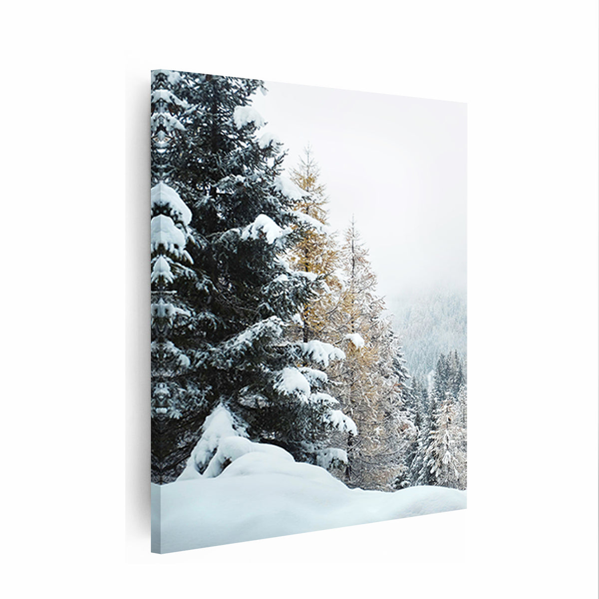 Snowy forest canvas print.