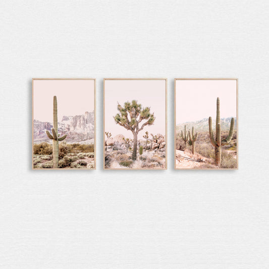 Desert landscape triptych with cacti and Joshua tree.