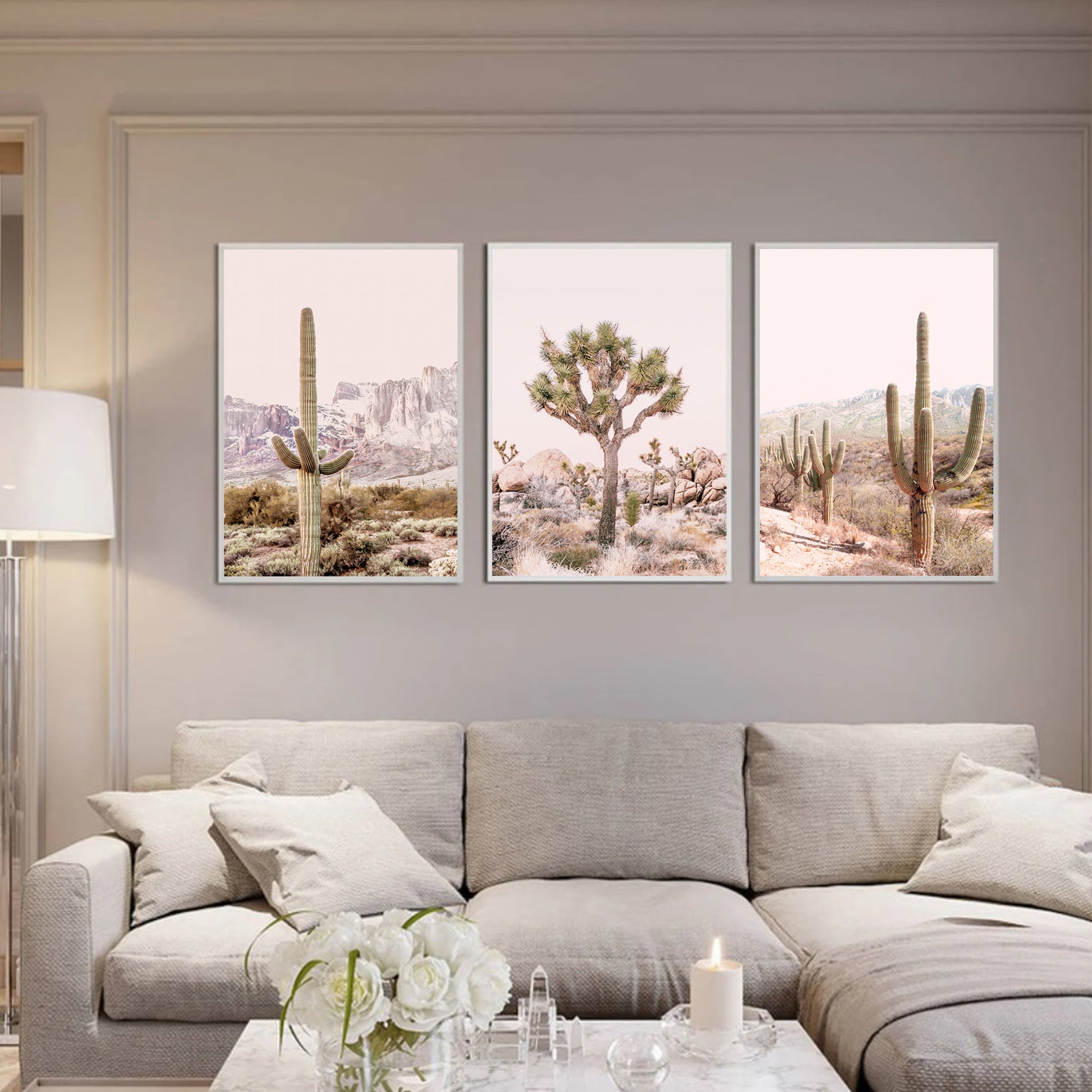 Desert wall art in white color frames.