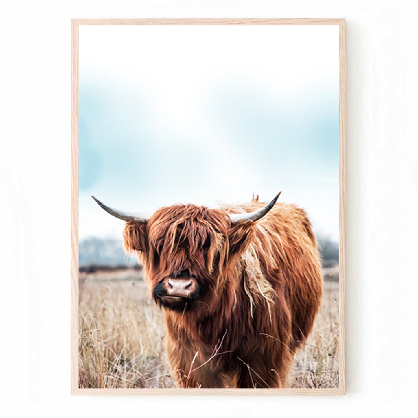 Red Scottish cow print.