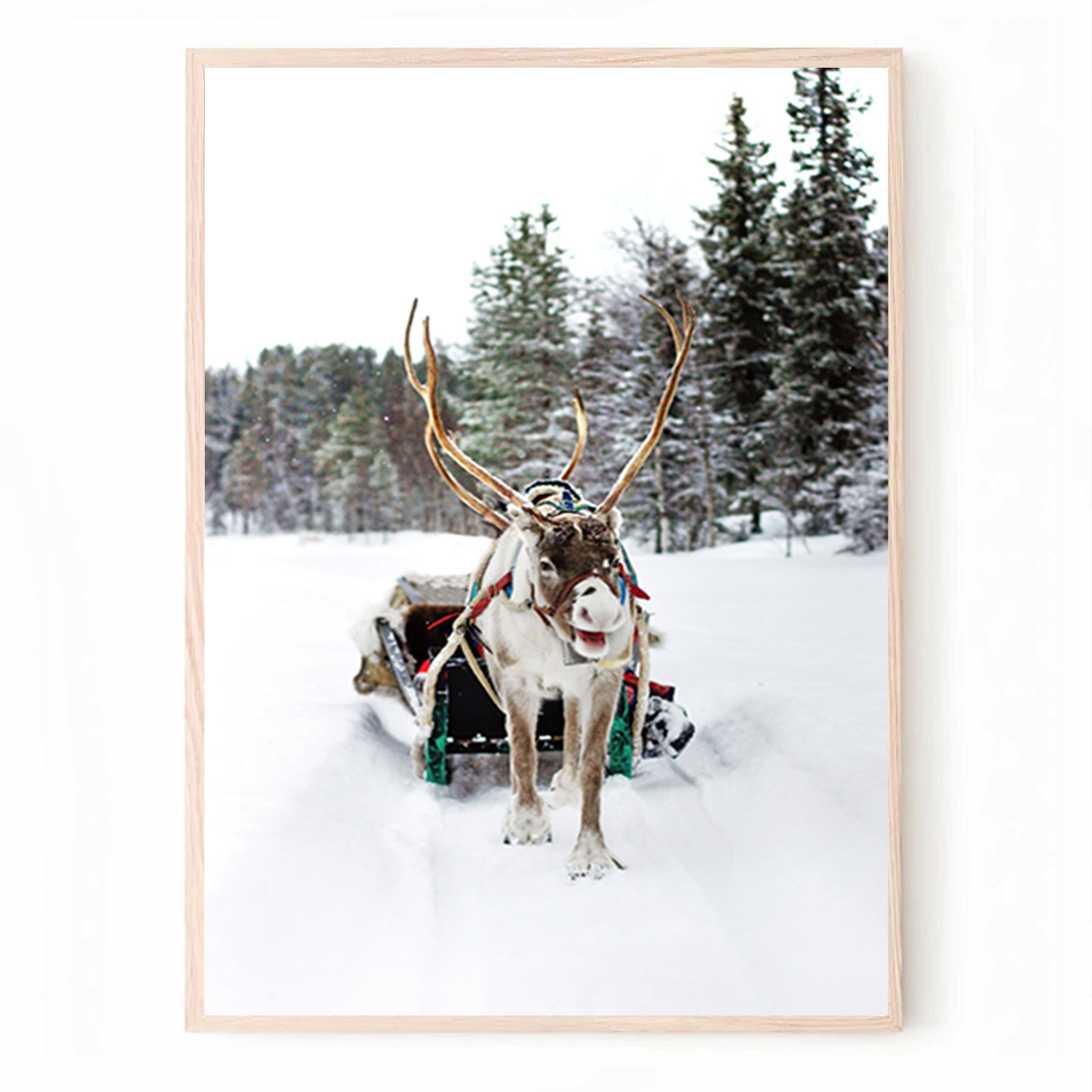 Reindeer in a sleigh print.