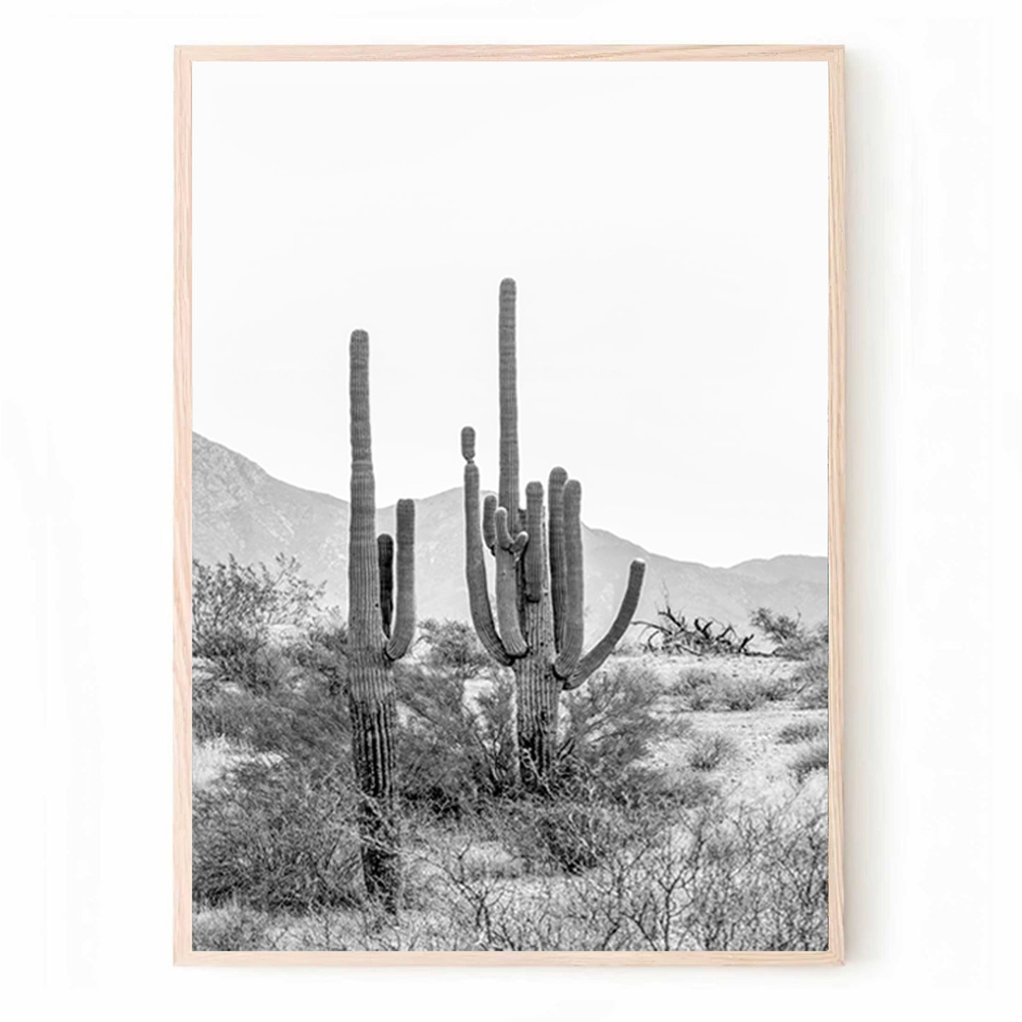 Kakteen-Triptychon in der Wüste von Arizona | Kaktus, Schwarz-Weiß, 3-teiliges Wandbild