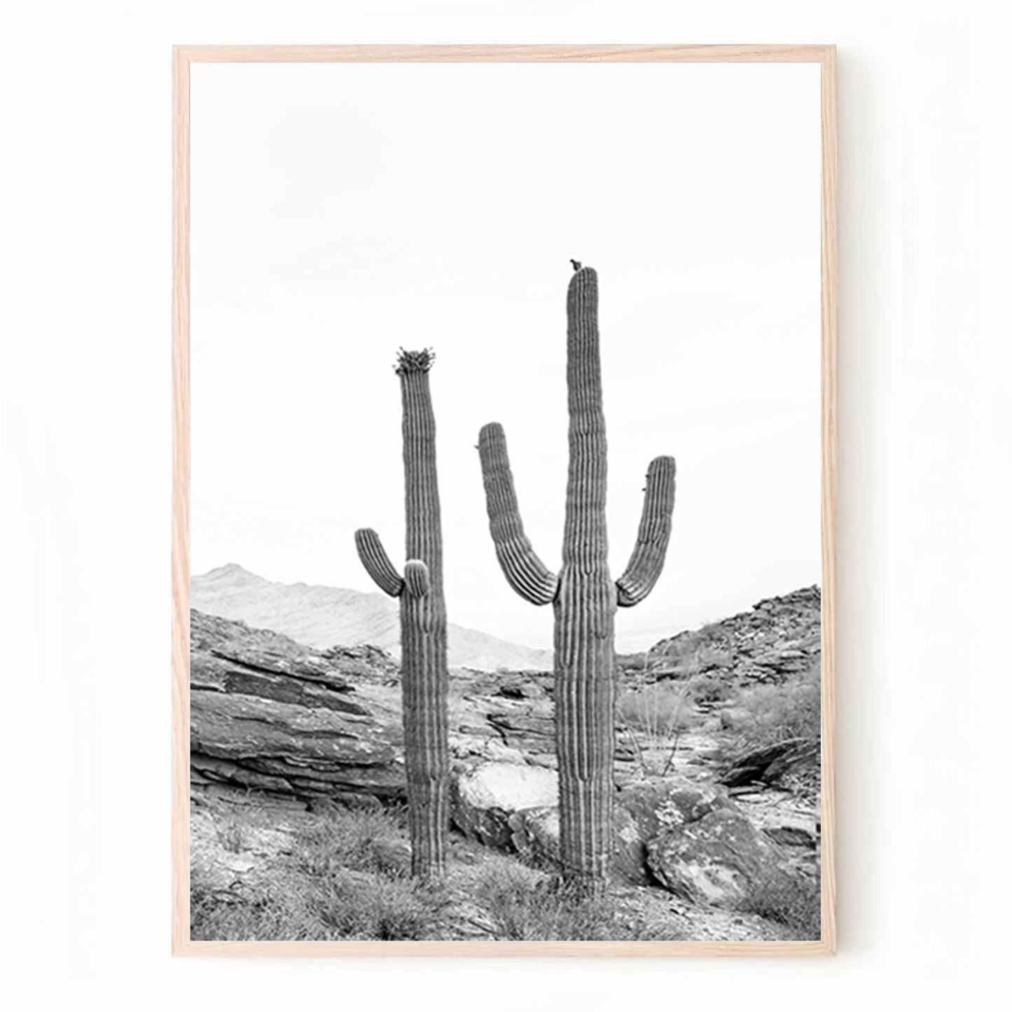 Cacti Triptych in Arizona Desert | Cactus Black White 3 Piece Wall Art