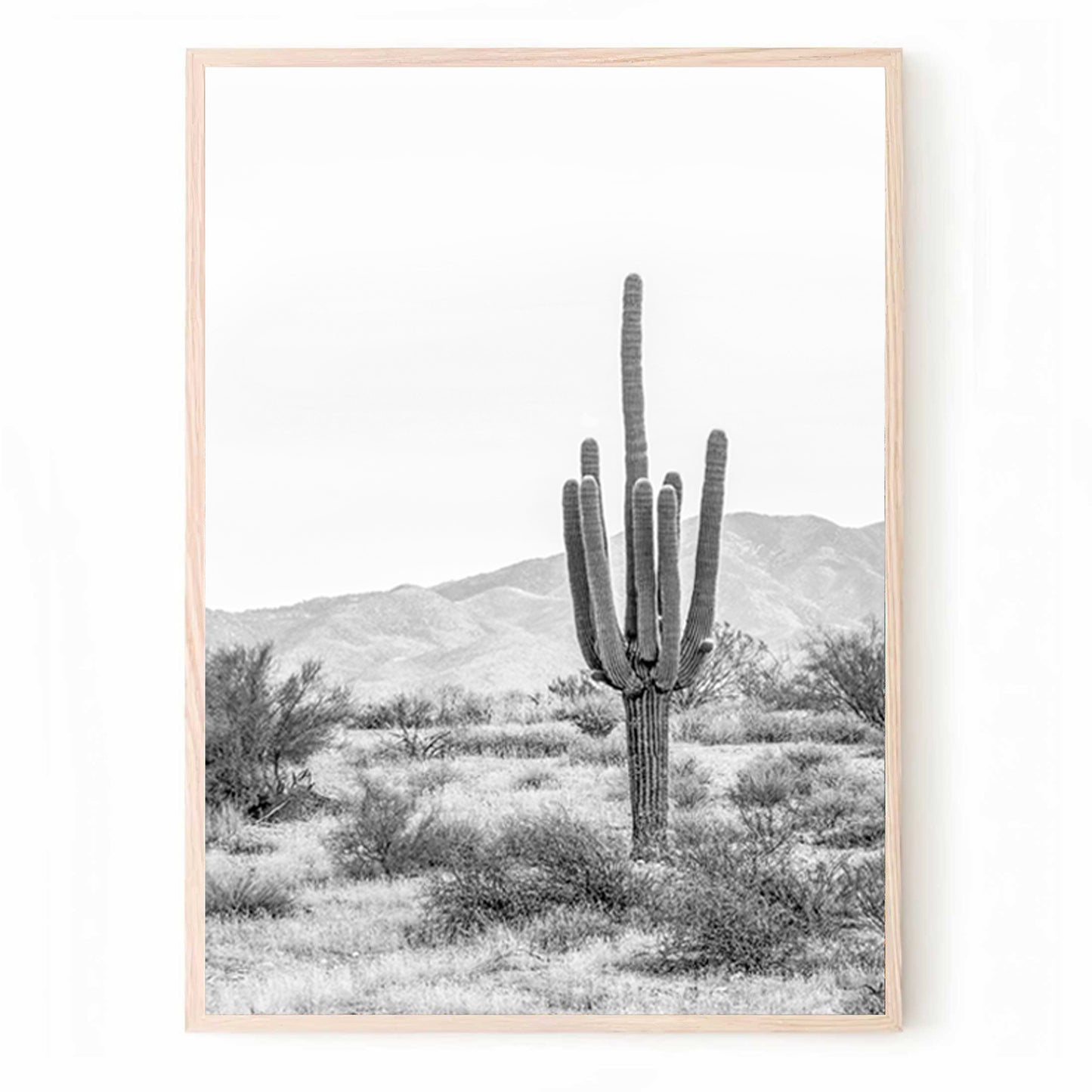 Cacti Triptych in Arizona Desert | Cactus Black White 3 Piece Wall Art