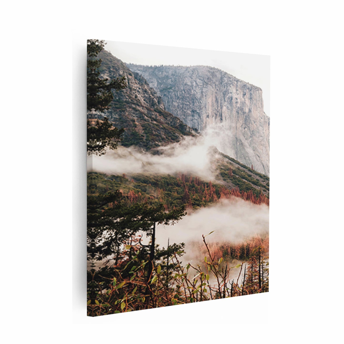 Yosemite canvas print.