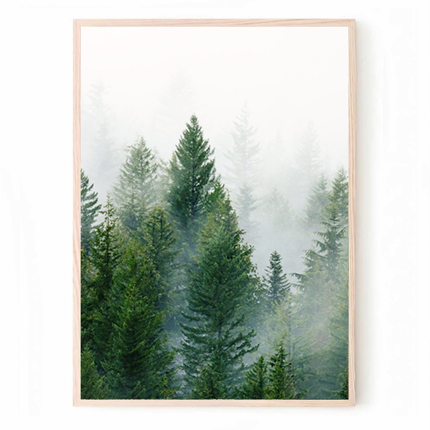 Green Forest Panorama in 3 Piece  Pine Trees Forest Landscape Triptych