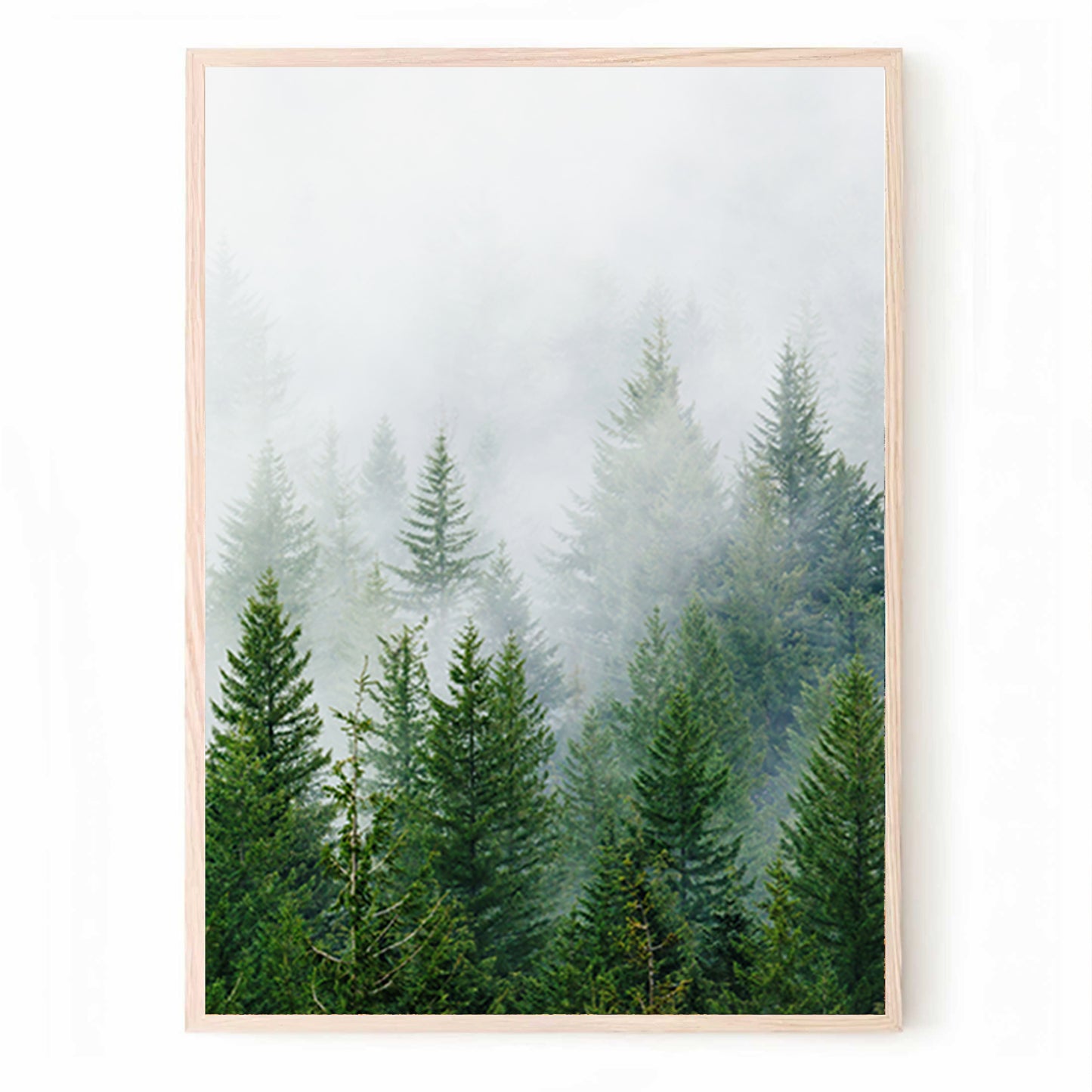 Green Forest Panorama in 3 Piece  Pine Trees Forest Landscape Triptych