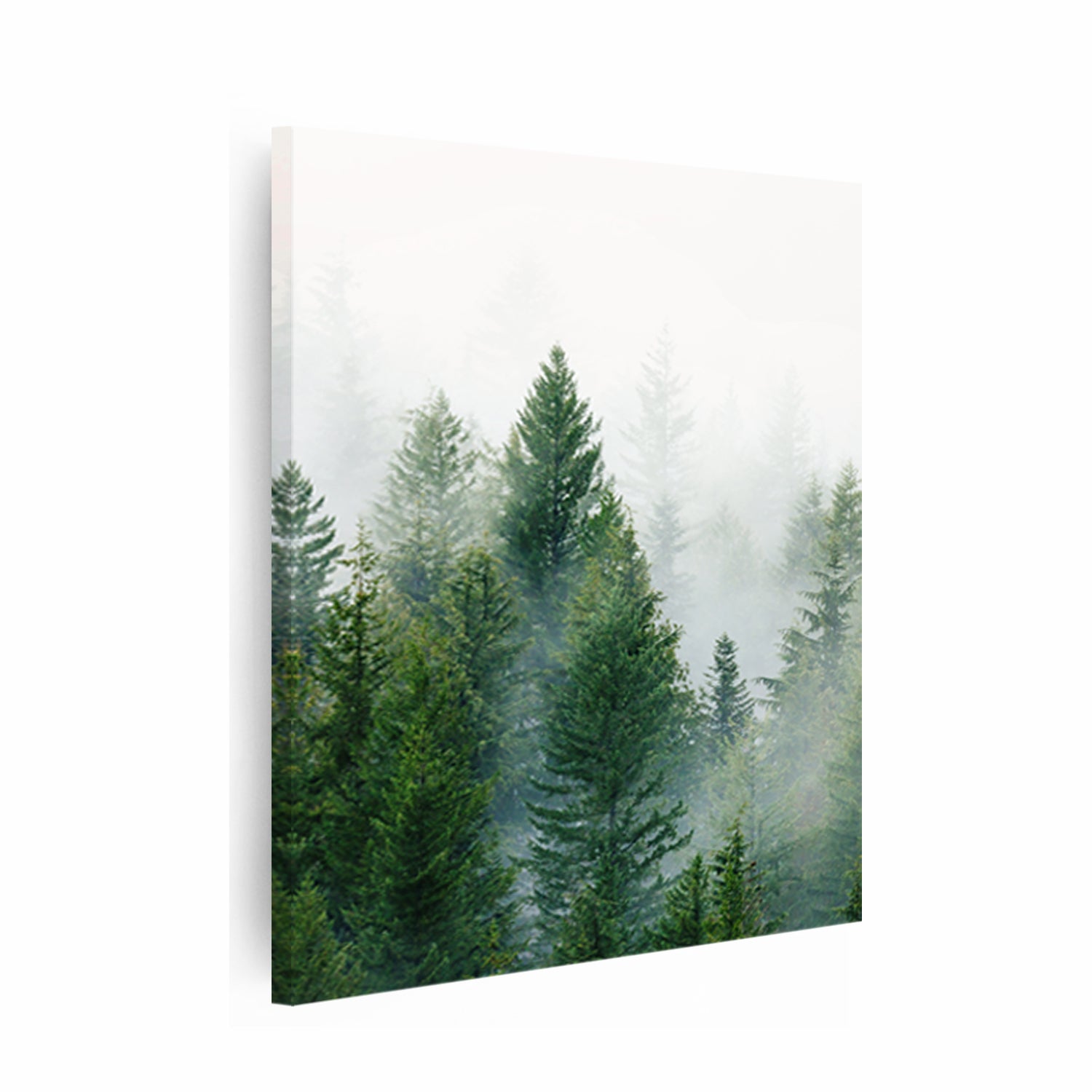 Misty forest canvas print.