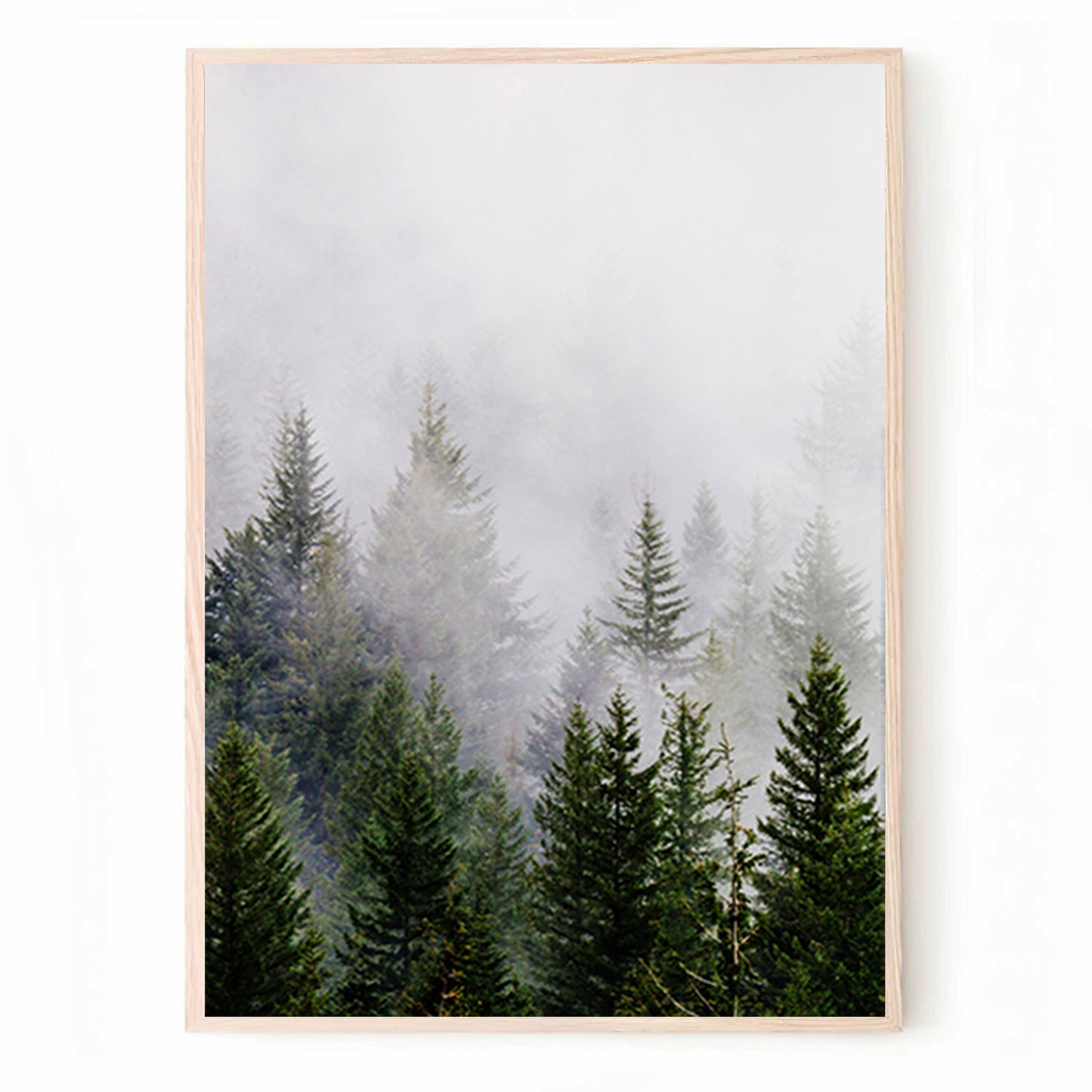 Foggy Forest Landscape 3 Piece Wall Art | Pine Trees Forest Triptych