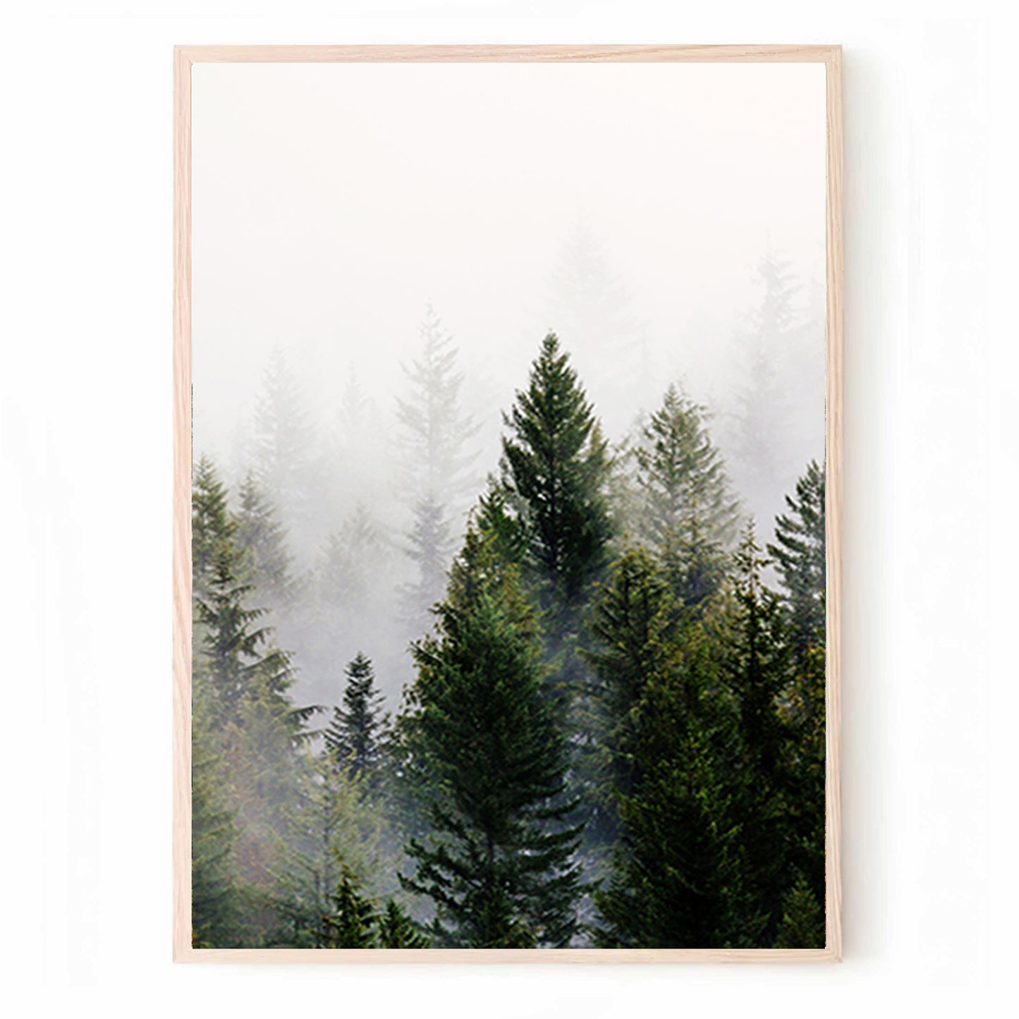 Foggy Forest Landscape 3 Piece Wall Art | Pine Trees Forest Triptych