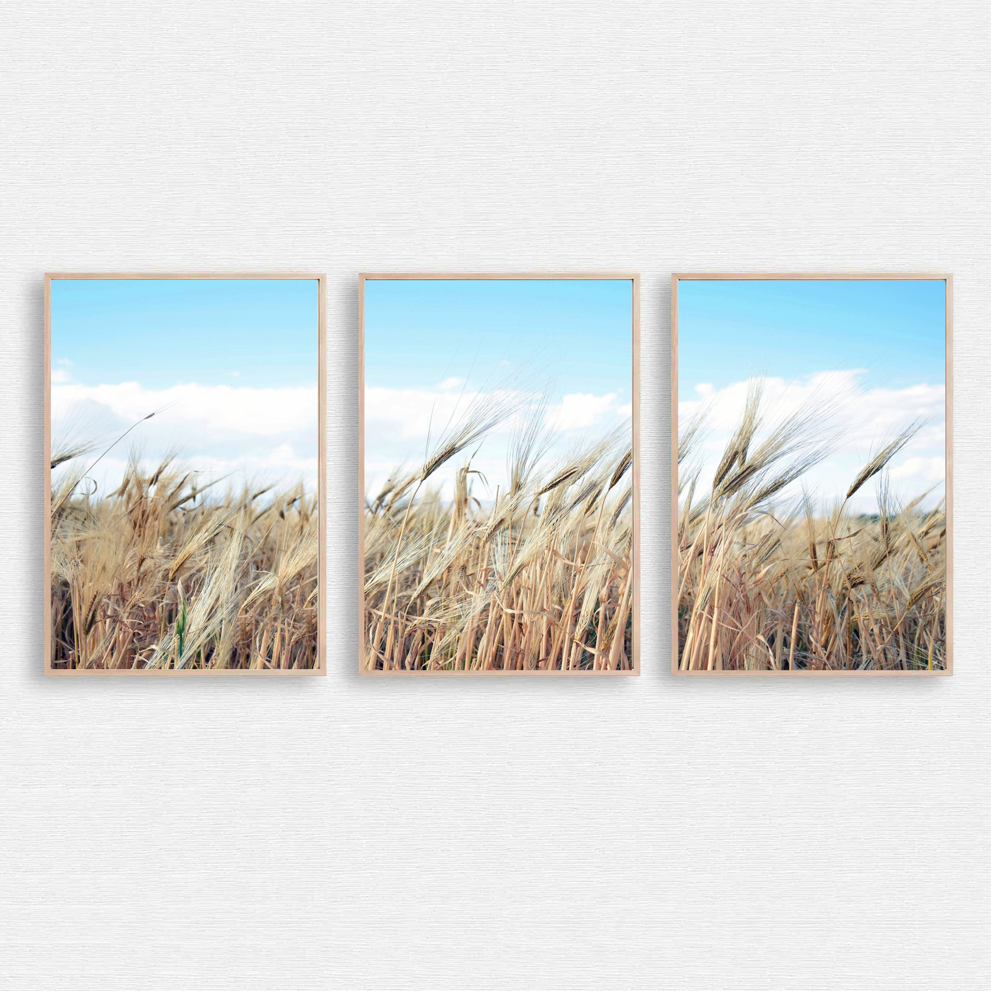 Nature wall art.