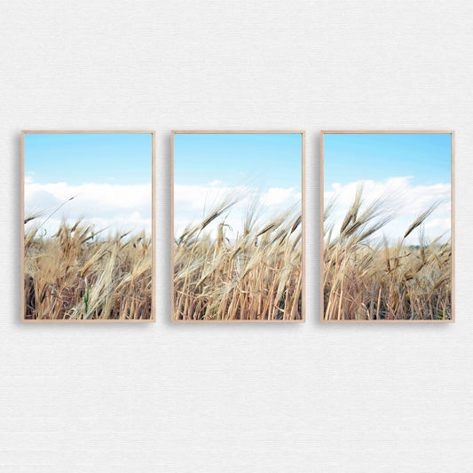 Nature wall art.