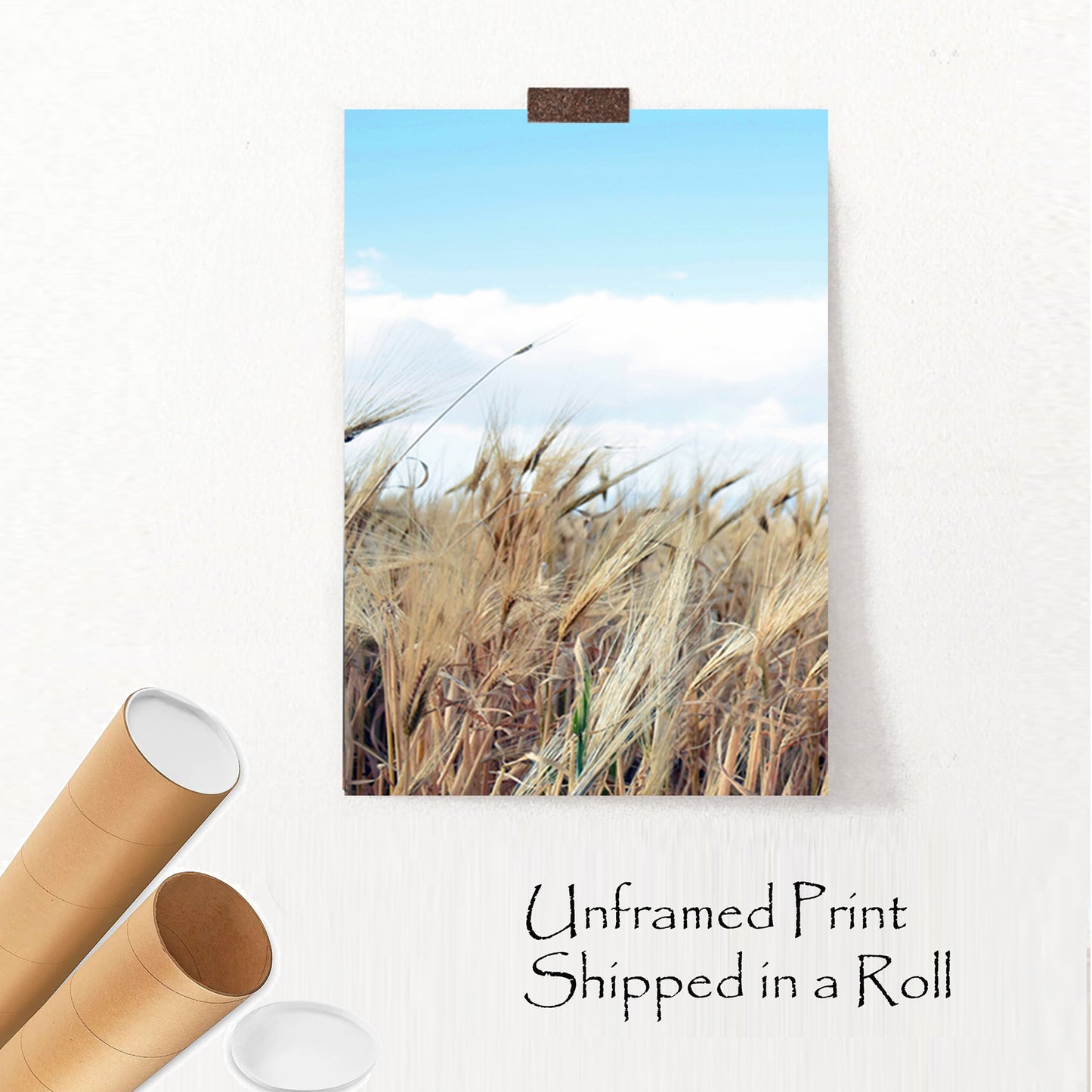Grass unframed print.