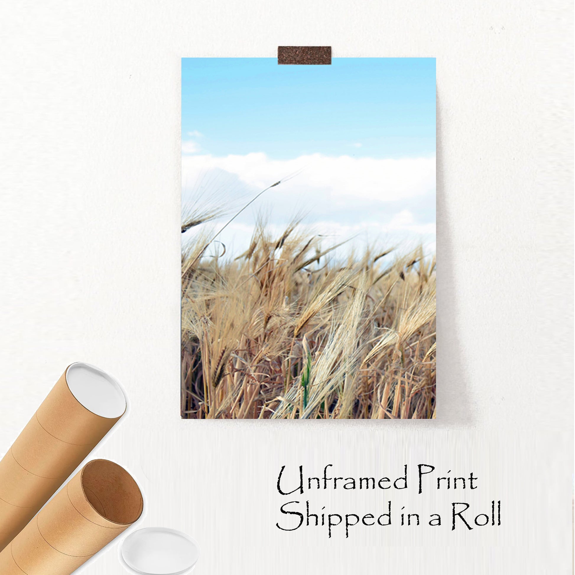 Grass unframed print.