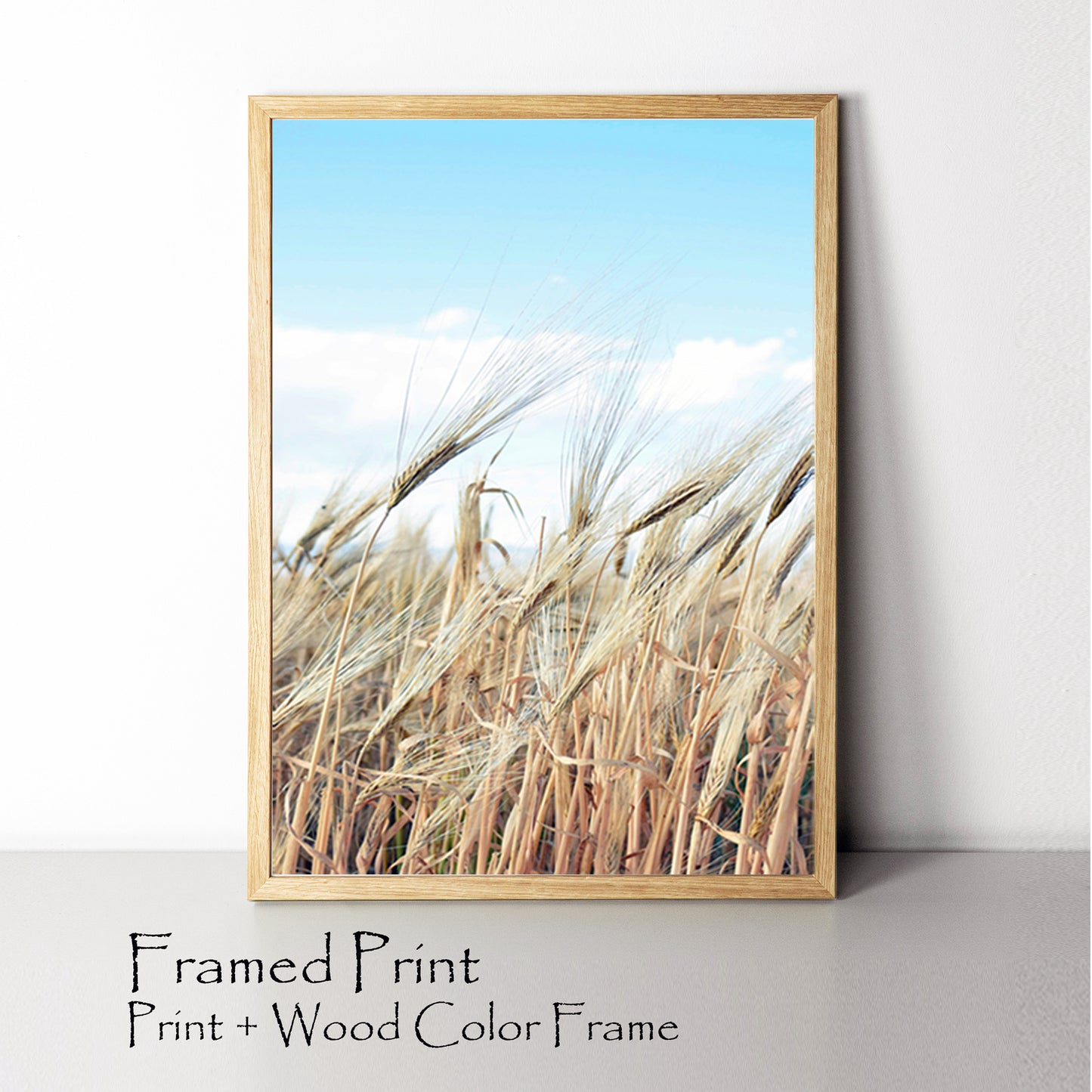 Wheat and sky framed print.