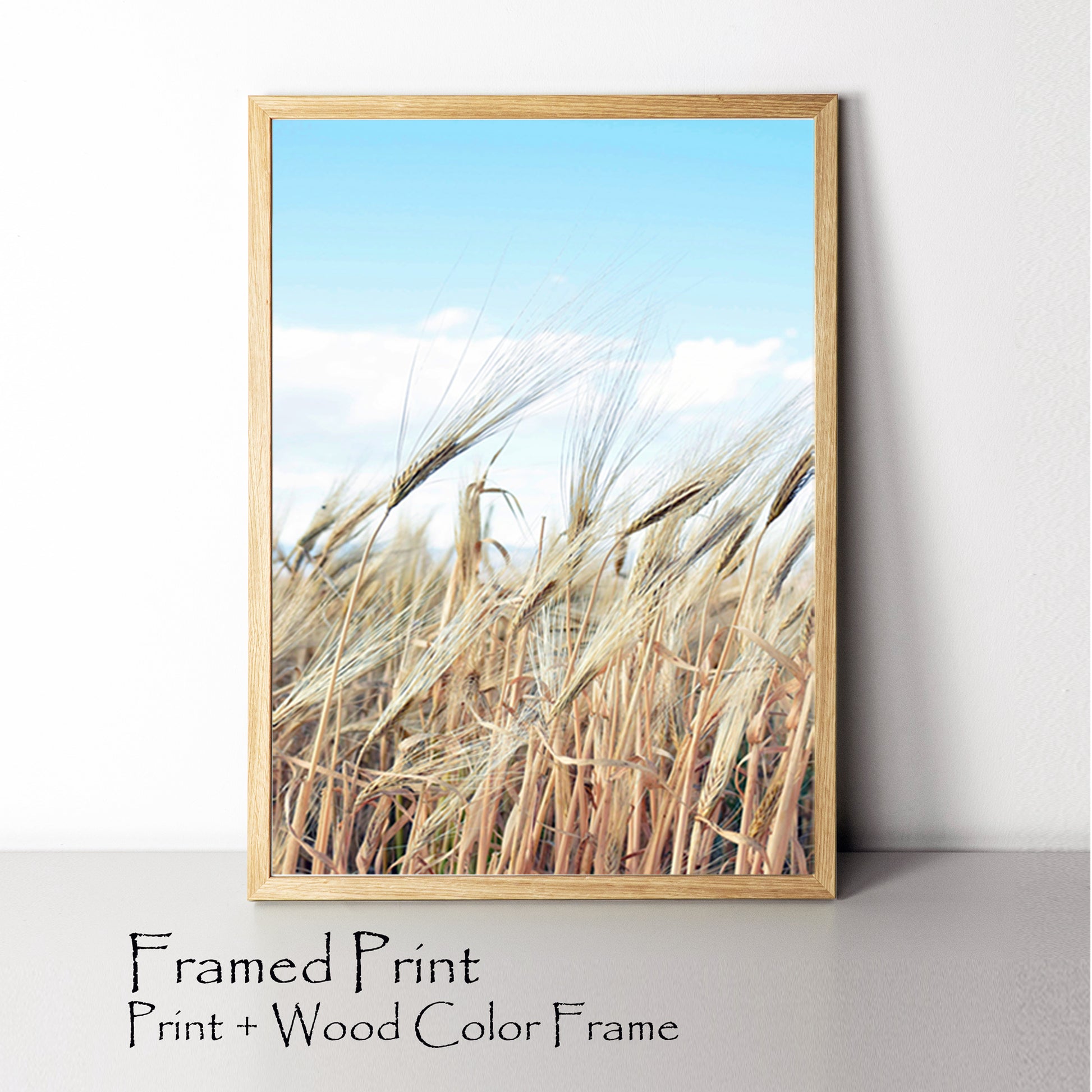 Wheat and sky framed print.