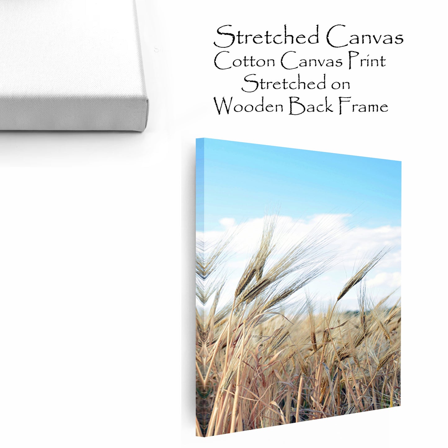 Grass canvas print.