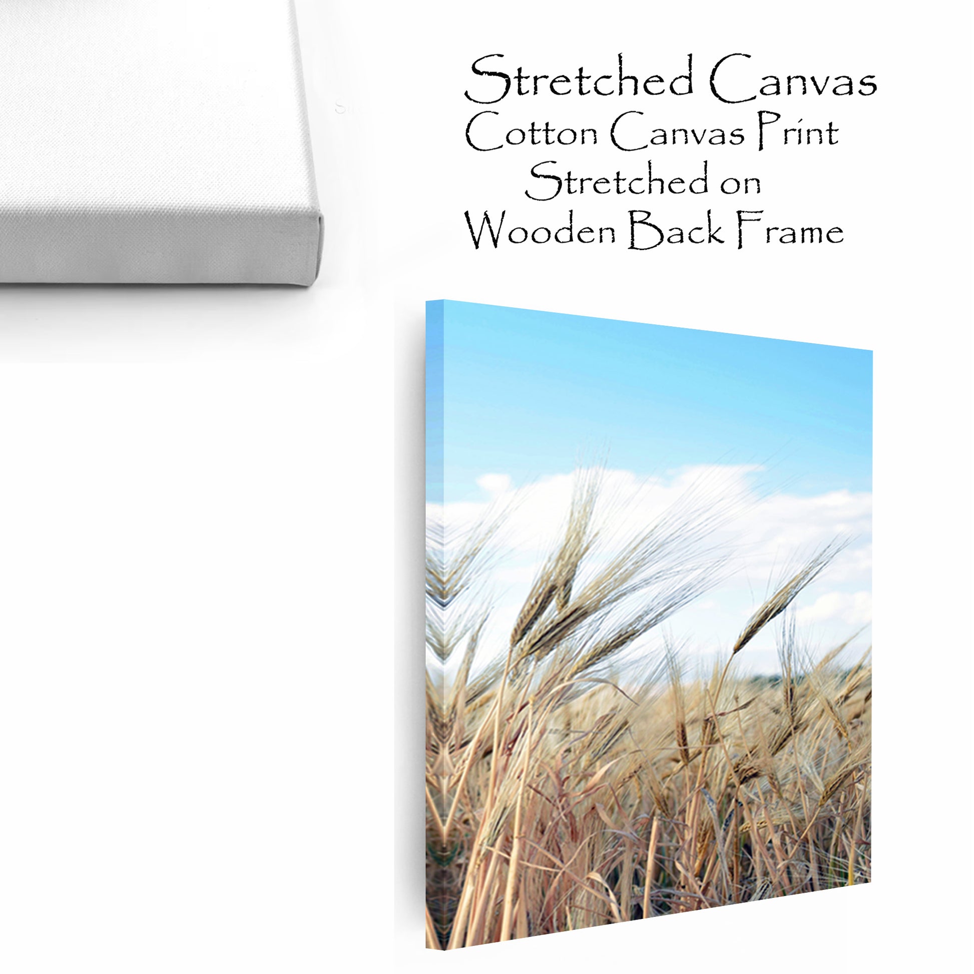 Grass canvas print.
