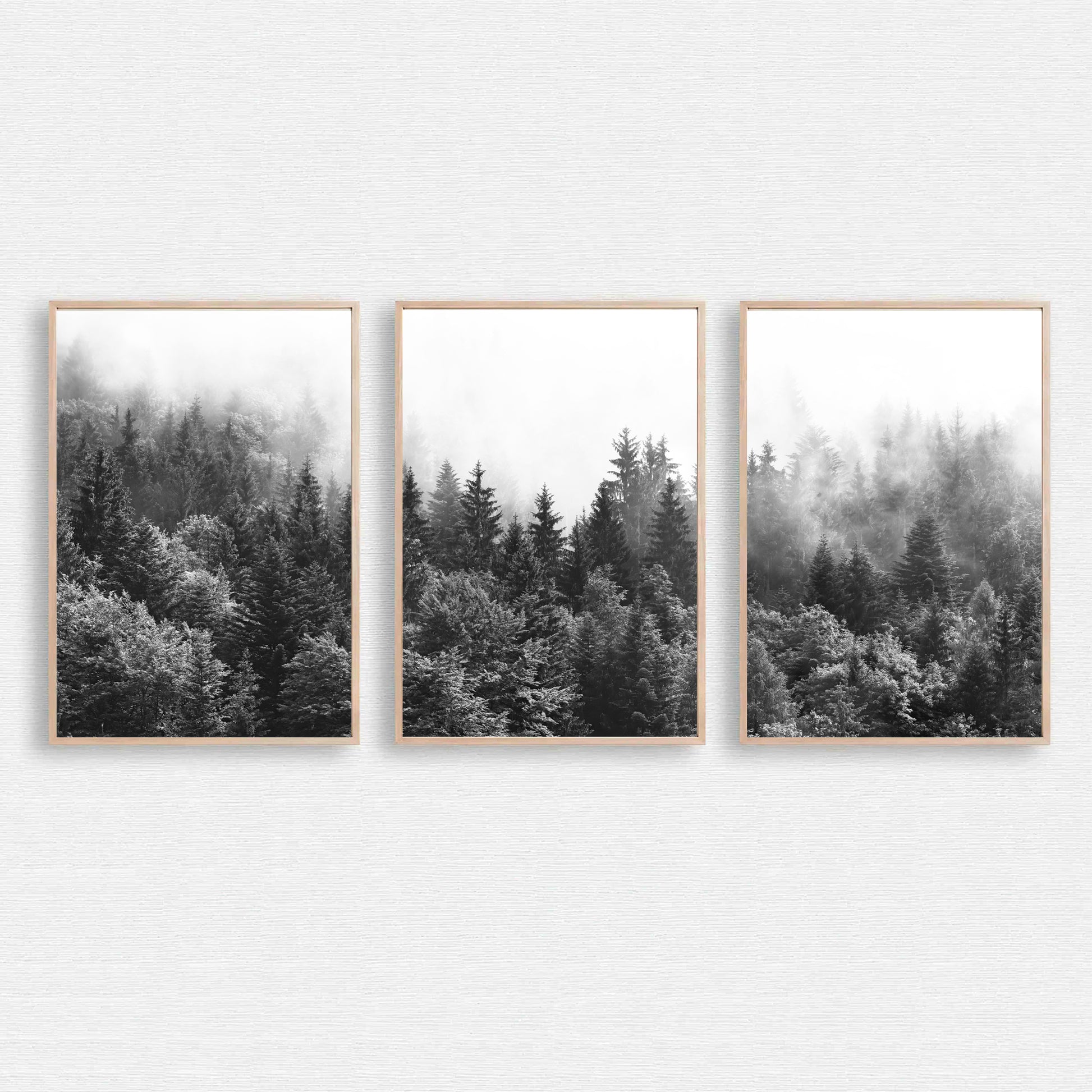 Foggy forest 3 piece wall art.