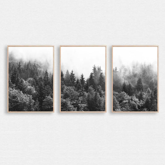 Foggy forest 3 piece wall art.