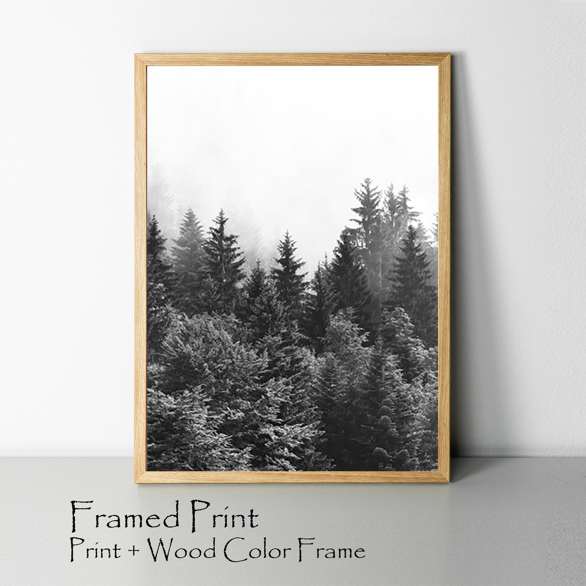 Forest framed print.