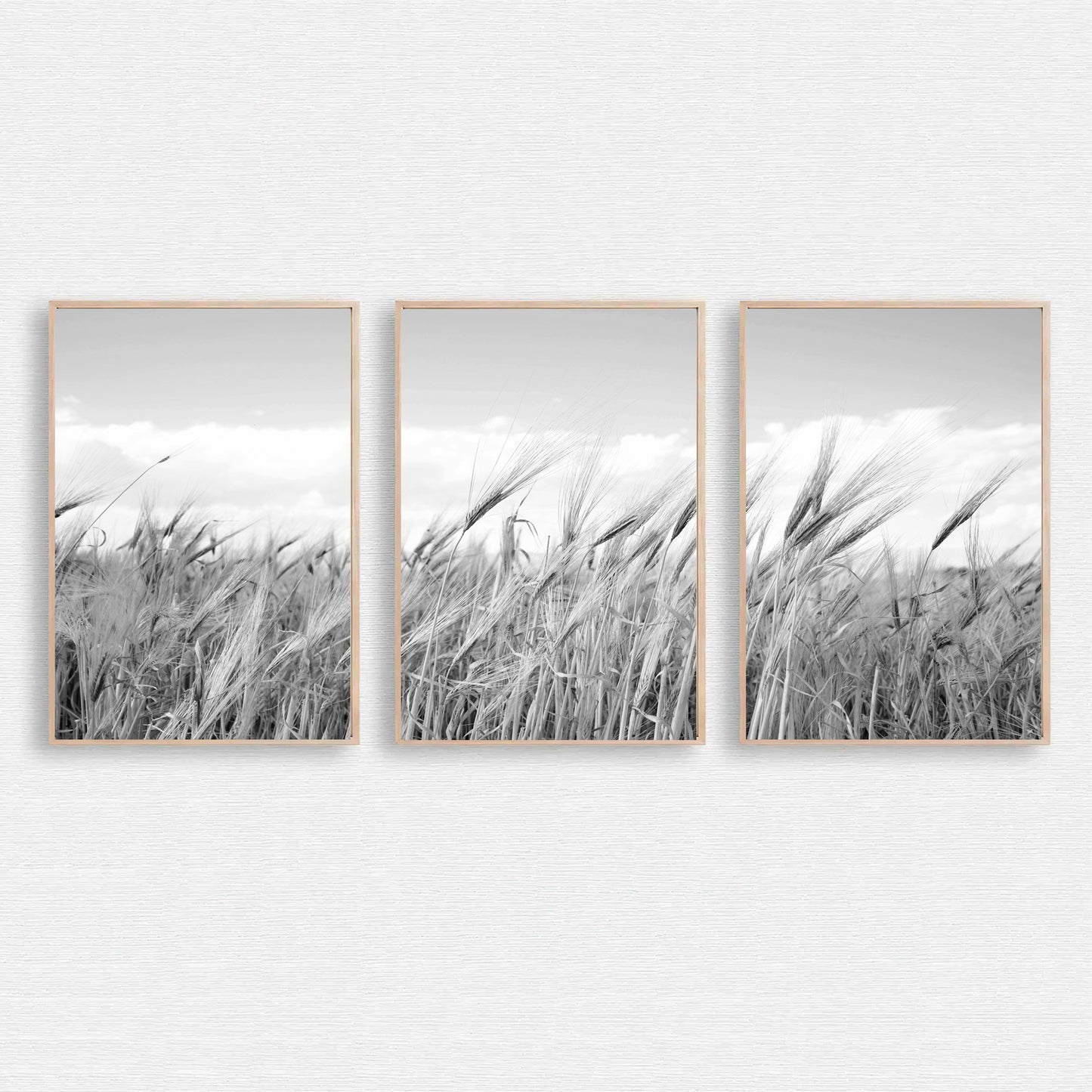 Nature wall art.