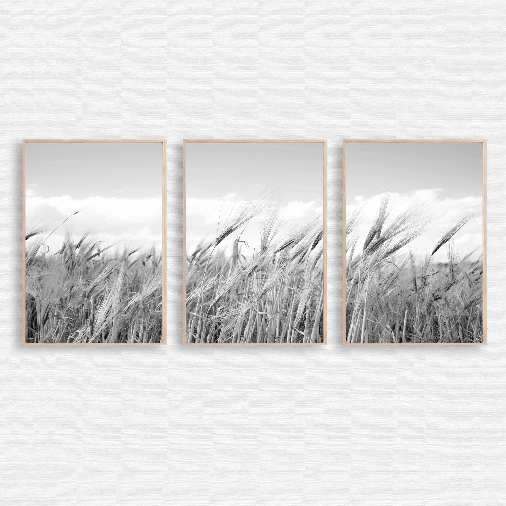 Nature wall art.