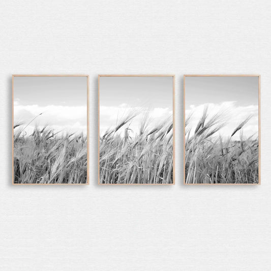 Nature wall art.