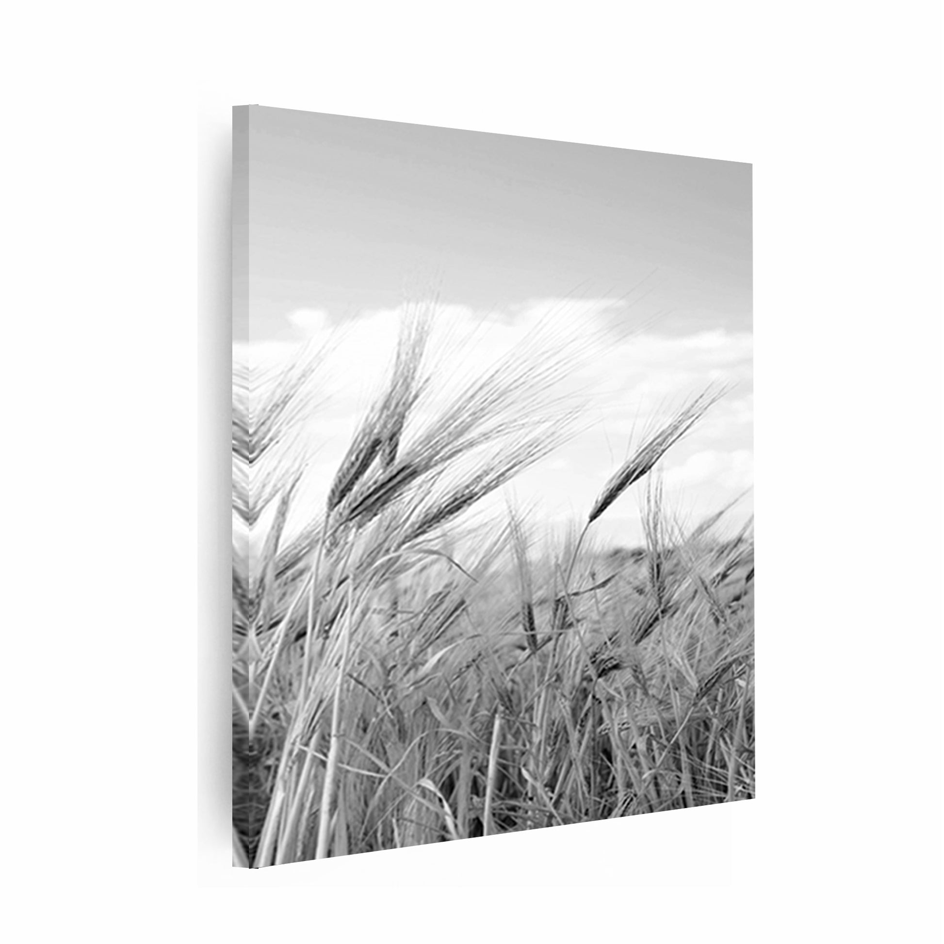 Grass canvas print.