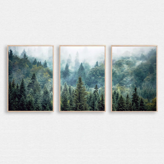 Misty forest wall art.