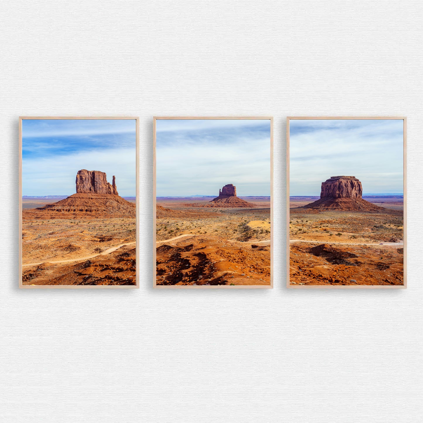 Desert triptych wall art.