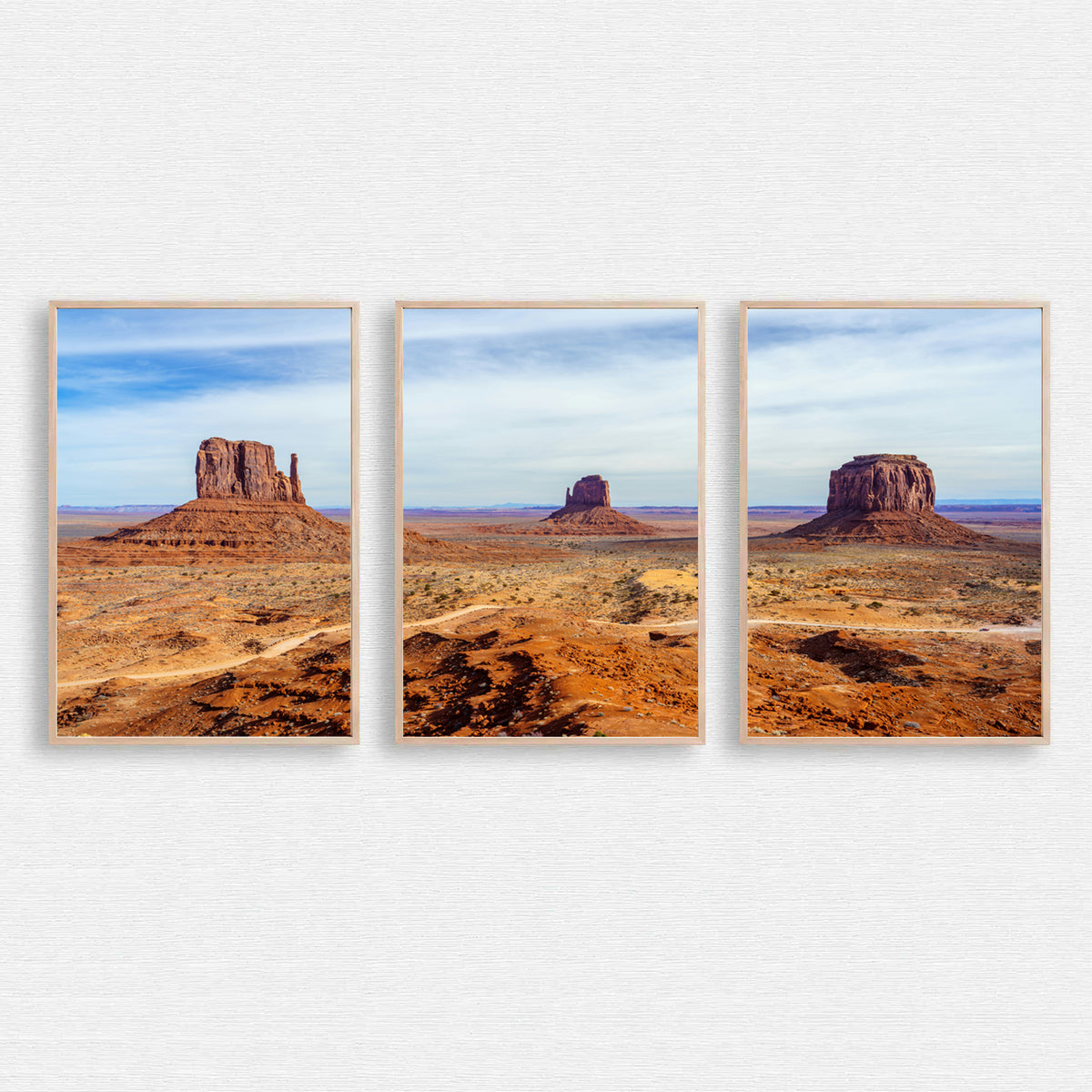 Desert triptych wall art.