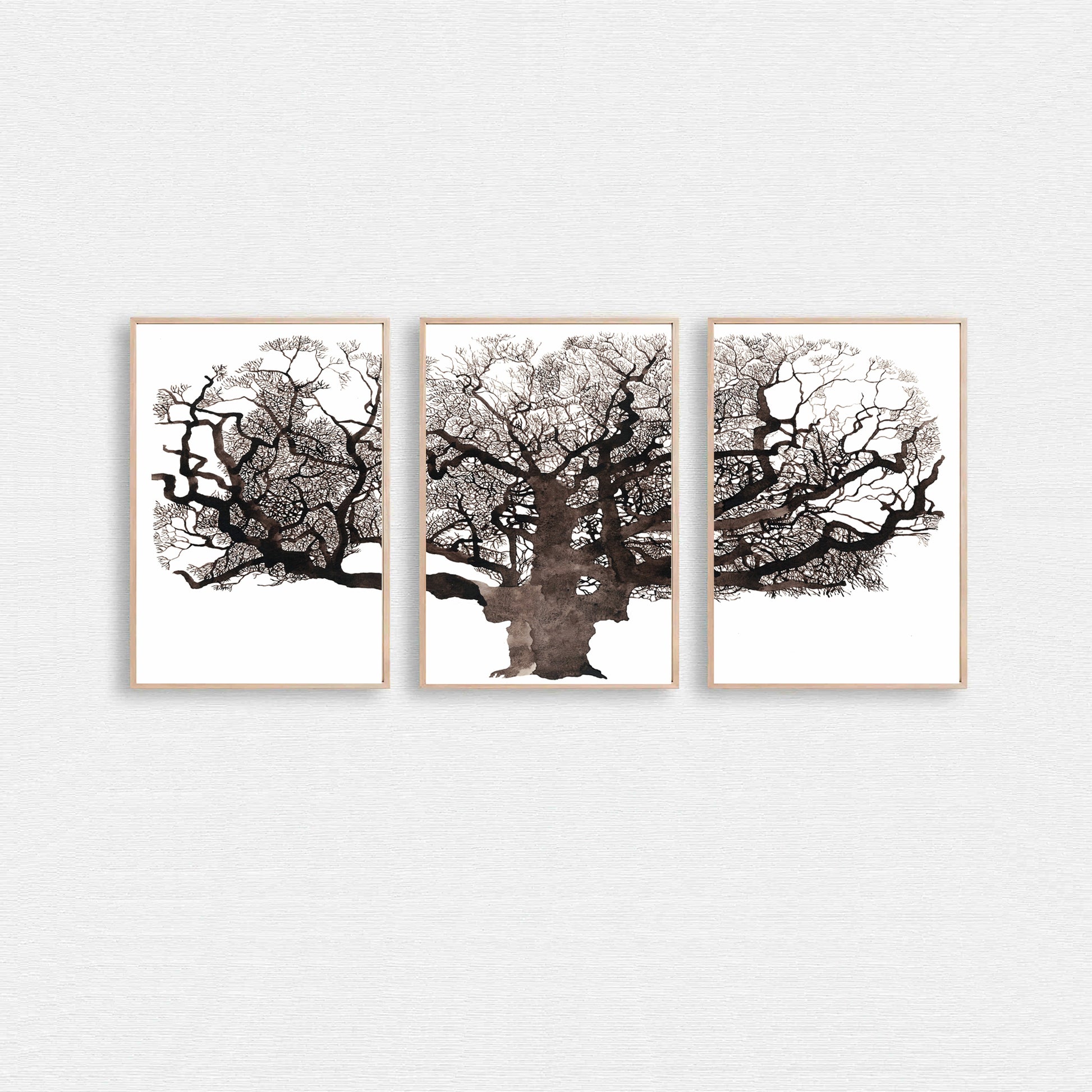 Mighty oak tree 3 piece wall art.